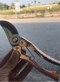 Kéo cắt cành Top