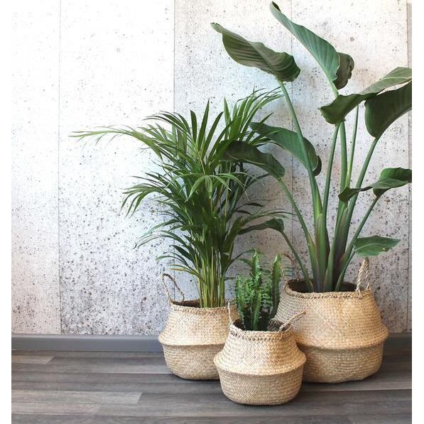 Giỏ cói vintage trồng cây, đựng quần áo, vật dụng, decor trang trí FEGO