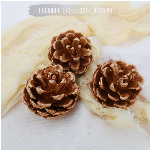 Hạt Thông Decor Trang Trí - Shop Hohi Decor