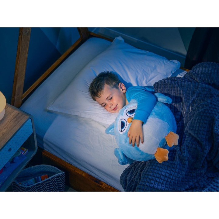 Bộ Chăn gối Văn Phòng 3 in 1 - Gối Mền 3 Trong 1 Hình Heo Hoa Quả Cú Mèo Totoro Dễ Thương Biểu Cảm Cute