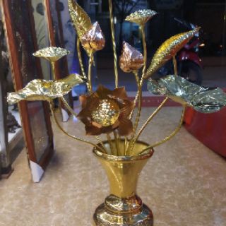 Combo 3 bó hoa sen đồng 10 bông