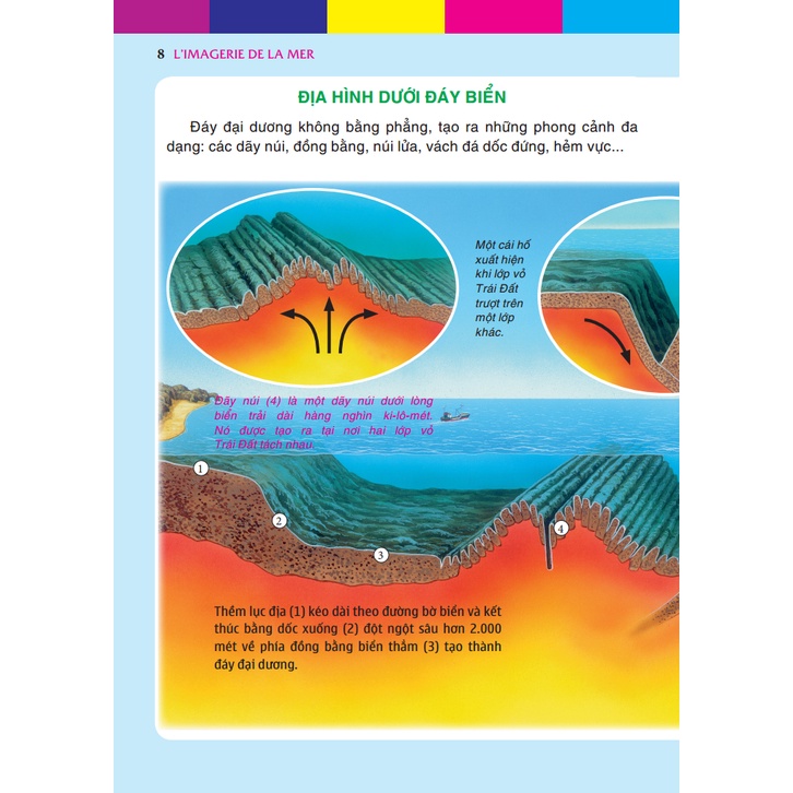 Sách - Thế giới biển huyền diệu