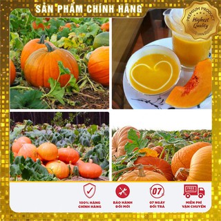 Hạt giống bí đỏ nhật quả to năng suất ( gói 10 hạt)