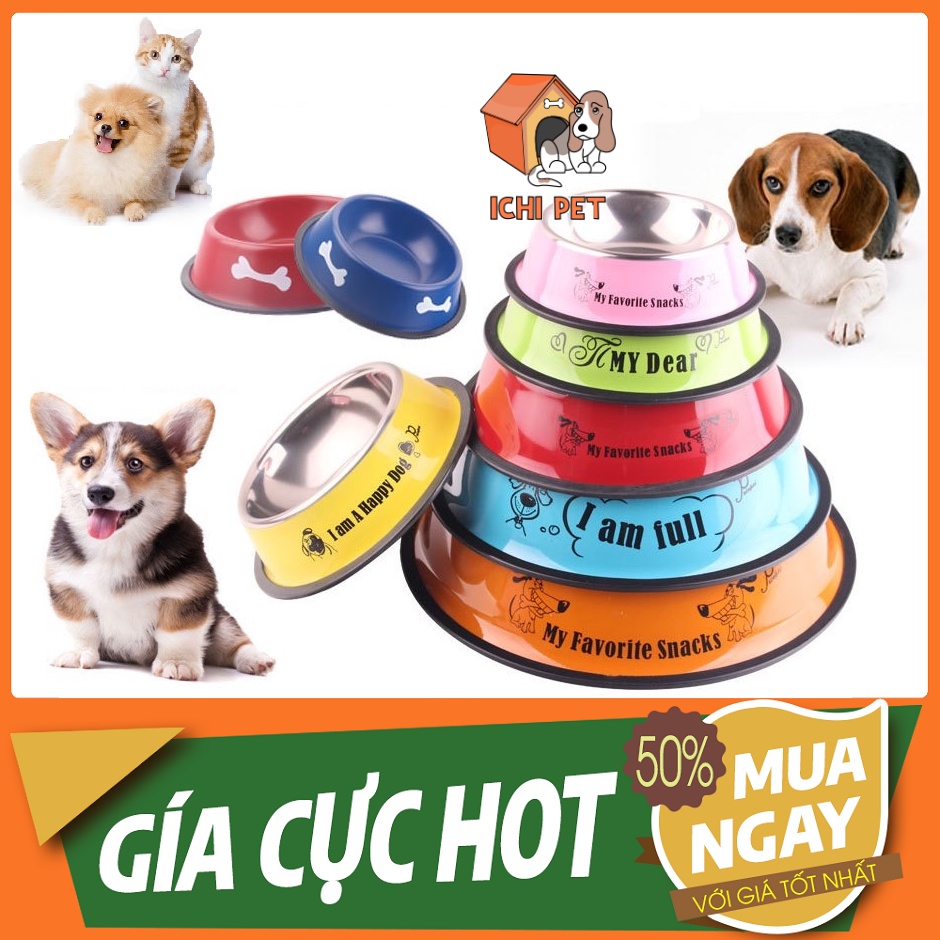 BÁT INOX MÀU CHO CHÓ MÈO CÓ CHỮ NHÌU MÀU CÓ ĐẾ TRỐNG TRƯỢT ĐỰNG ĐỒ ĂN VÀ NƯỚC CHO THÚ CƯNG