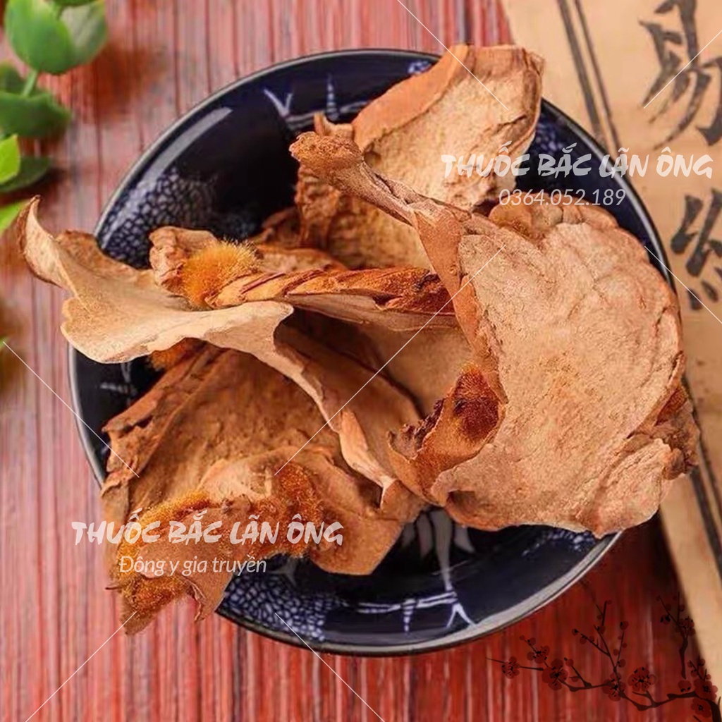 Cẩu tích chưa chế 100g (Cây lông culi giảm tiểu đêm, mạnh gân cốt)