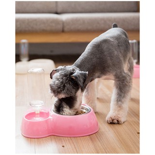 bộ chén ăn kèm chén bình nước cho chó mèo - T3 PETS SHOP