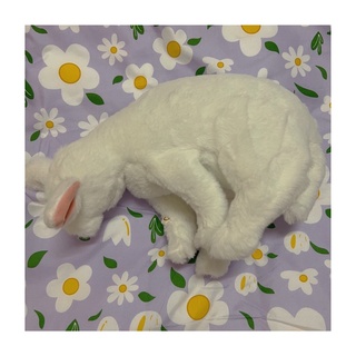 Mèo công chúa dễ thương, màu trắng - gấu bông đình may, 40cm