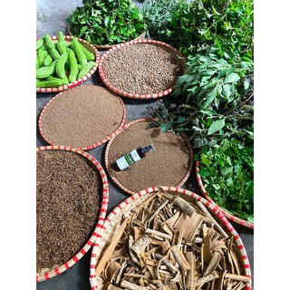 SỮA TẮM GỘI THẢO DƯỢC CHO BÉ