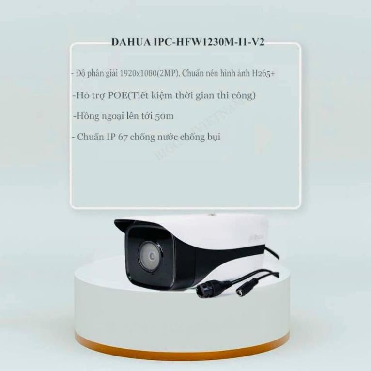 Camera Dahua IP Poe 1230 M-I1 (hồng ngoại 50m)