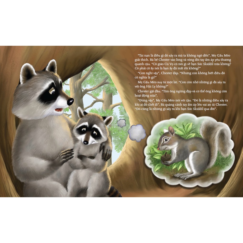 Sách Combo 6 cuốn picture book song ngữ Gấu mèo Chester TB