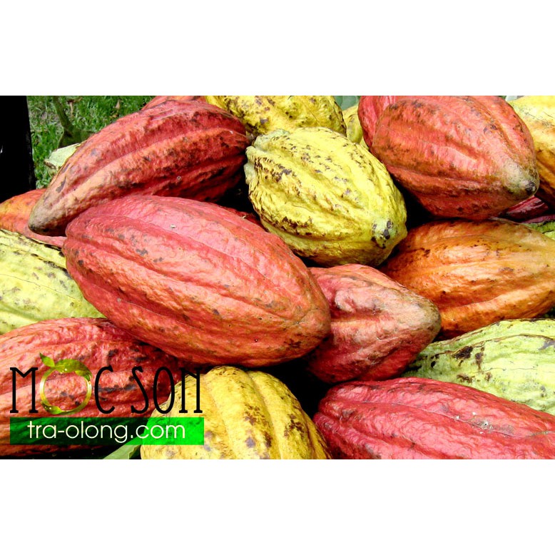 1KG BỘT CA CAO MỘC SƠN