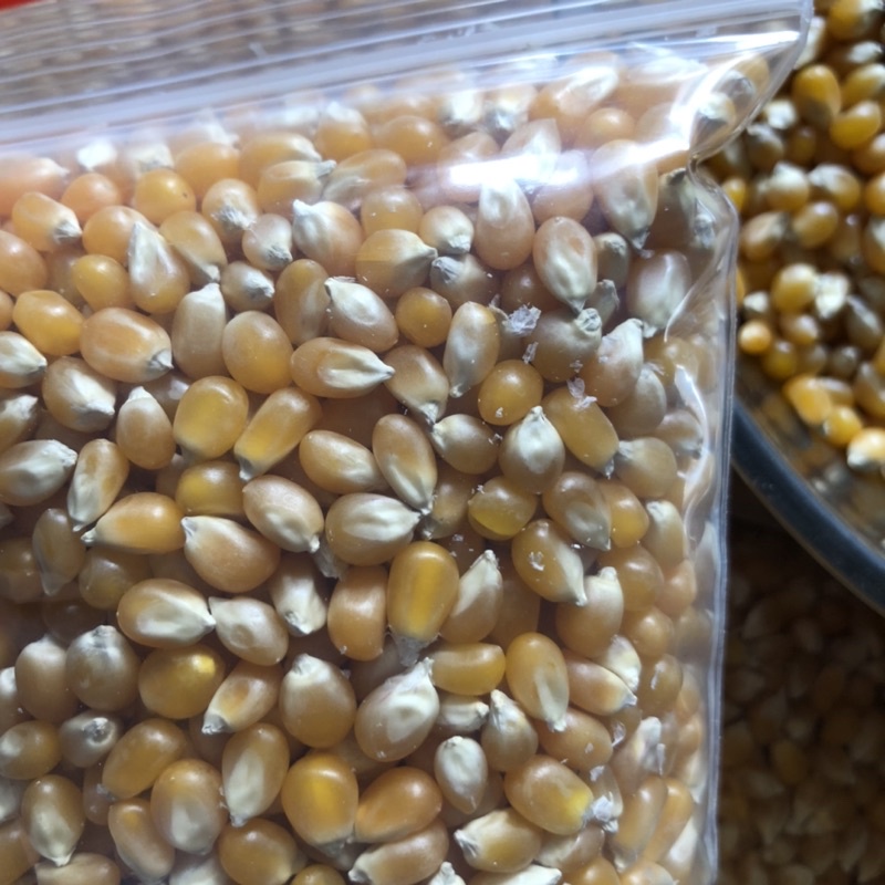 Bắp mỹ - 1kg bắp làm bắp rang bơ tại nhà