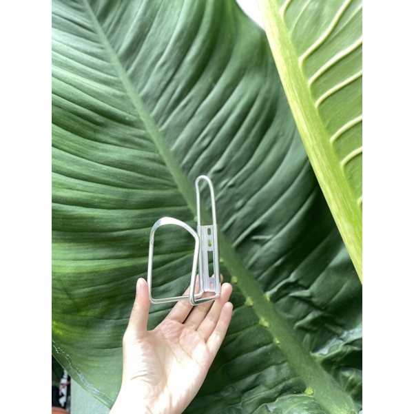 Giá đỡ bình nước- Gắn xe đạp thể thao
