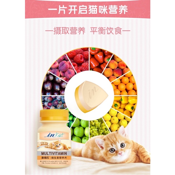 Vitamin InKat cho mèo với tổ hợp Vitamin B và Folic Acid (60gr)