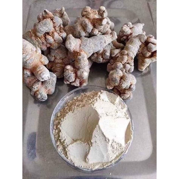 100g CỦ TAM THẤT BẮC HÀ GIANG