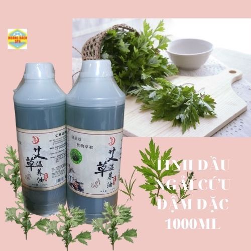 Tinh Dầu Massage Body Ngải Cứu Đặc Tinh Dầu Vay Gáy Chai Lớn 1000ml Tinh Dầu Massage Dùng Trong Dưỡng Sinh.