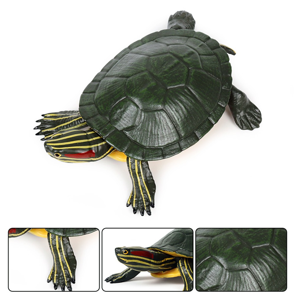 Mô Hình Con Rùa Nhựa Pvc Kích Thước 5.5inch