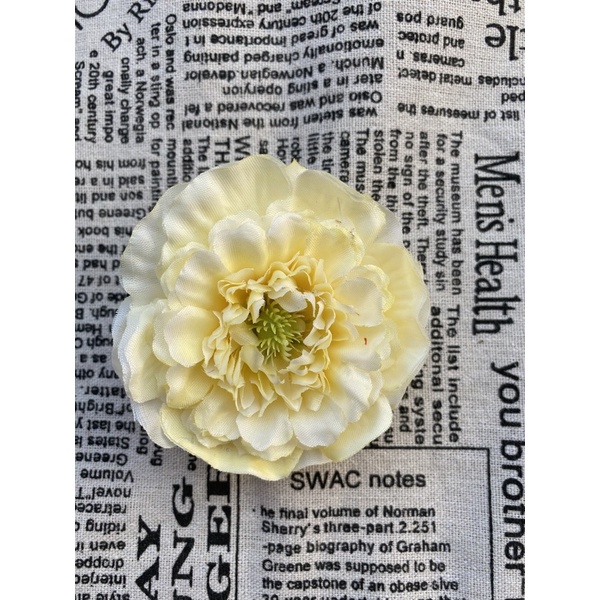 Đầu Bông Trà Tràm Cao Cấp Decor Trang Trí Cắm Hoa | Hà Hoa Flower