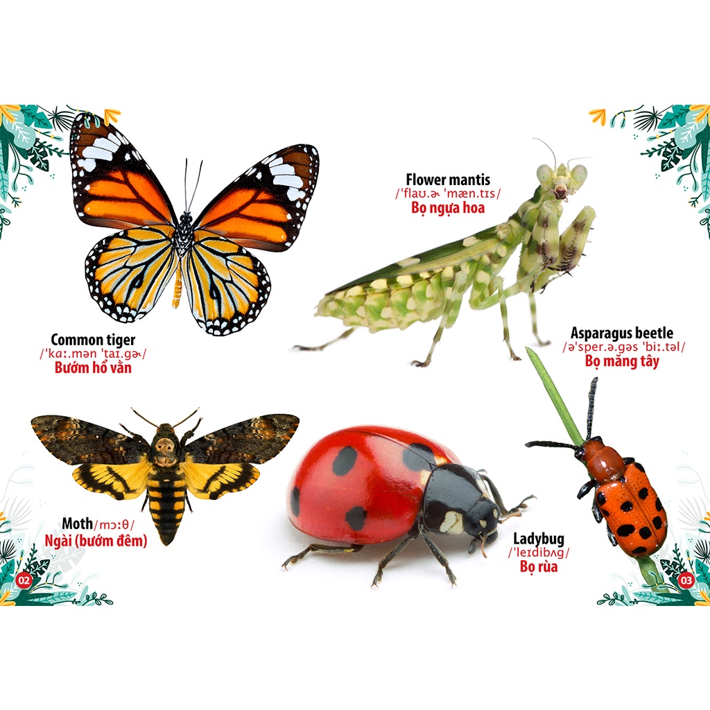 Sách - Thư Viện Hình Ảnh Song Ngữ Đầu Tiên Của Bé - Côn Trùng Và bò sát