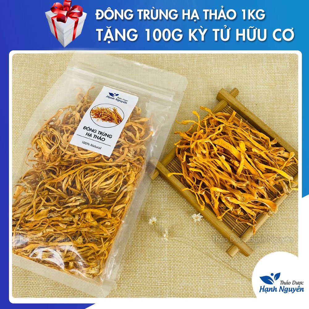 1kg Đông Trùng Hạ Thảo (Có hút chân không) Hàng Thơm, Vàng, Đẹp