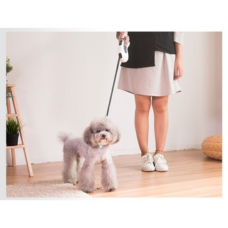 Dây Dắt Chó Tự Động Thu Gọn 3m -5m