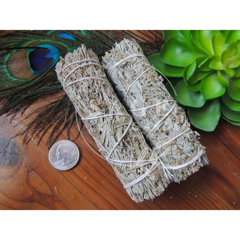 XÔ THƠM XANH _Thu hút tài lộc, may mắn_SAGE GARDEN