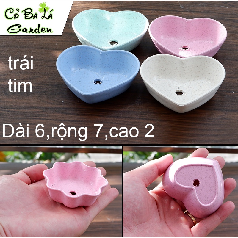 Chậu nhựa mini phù hợp trồng sen đá , xương rồng , loại vỉ