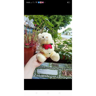 Gấu bông teddy gói quà 20/10