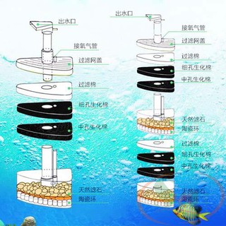 Lọc vi sinh cho bể cá cảnh. Có 2 cỡ cho ae lựa chọn.