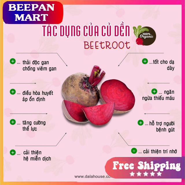 Bột Củ Dền Nguyên Chất 100% Hộp 60Gr - Dalahouse