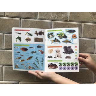 SÁCH - Combo Bóc dán tuyệt đỉnh (6 tập )