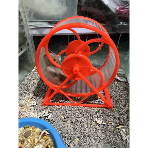 Wheel nhựa đại 14cm cho tất cả dòng hamster ww , robo , bear , camp ⚡CHỈ 1 NGÀY⚡ - đồ chơi hamster - PET&amp;JOI