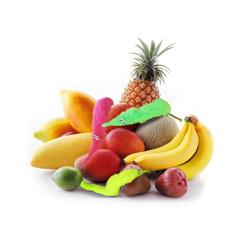 Set đồ chơi giun xoắn độc đáo vui nhộn mềm mại dành cho trẻ em/ mèo cưng