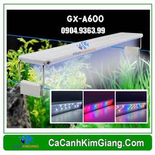 Đèn led roxin gx-k800 ánh sáng trắng cực đẹp cho bể 80-90cm