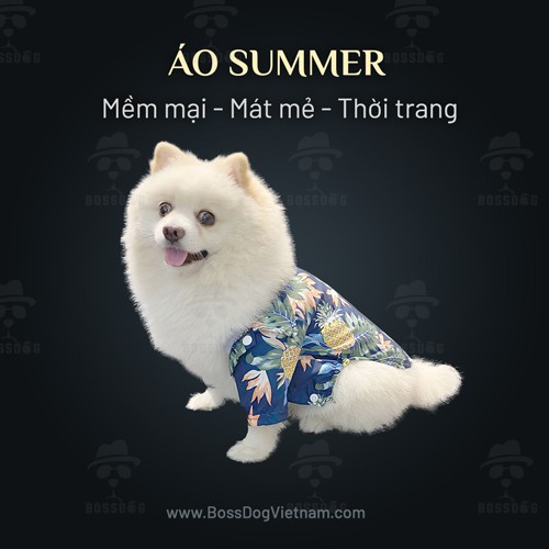 Áo thời trang chó cưng - Summer Shirt - Mềm mịn, mát mẻ | BossDog