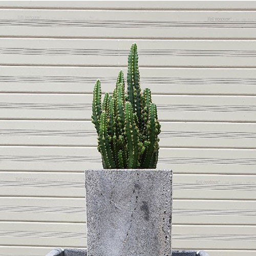 Chậu treo tường trồng cây hình vuông KT 10cm bằng đá tự nhiên, chậu trồng cây mini