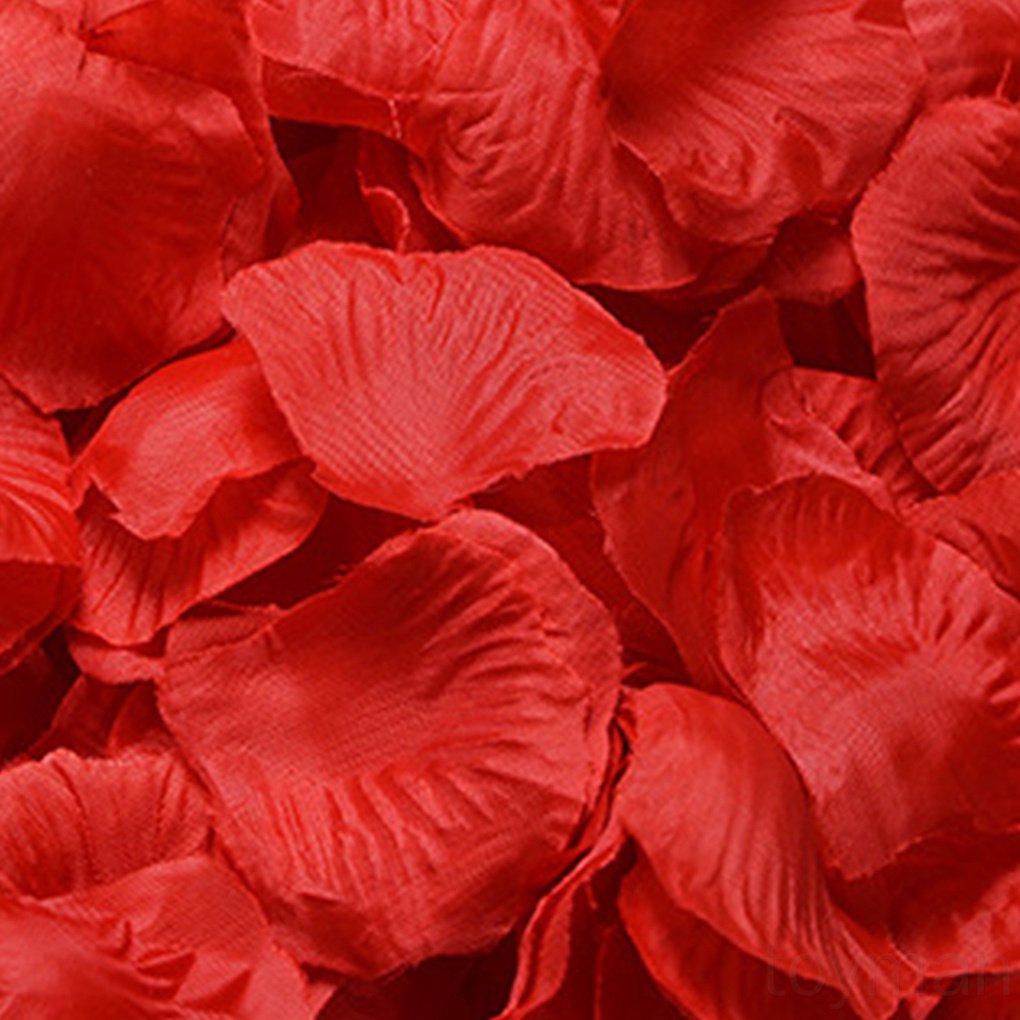 Set 100 Cánh Hoa Hồng Giả Trang Trí Tiệc Cưới