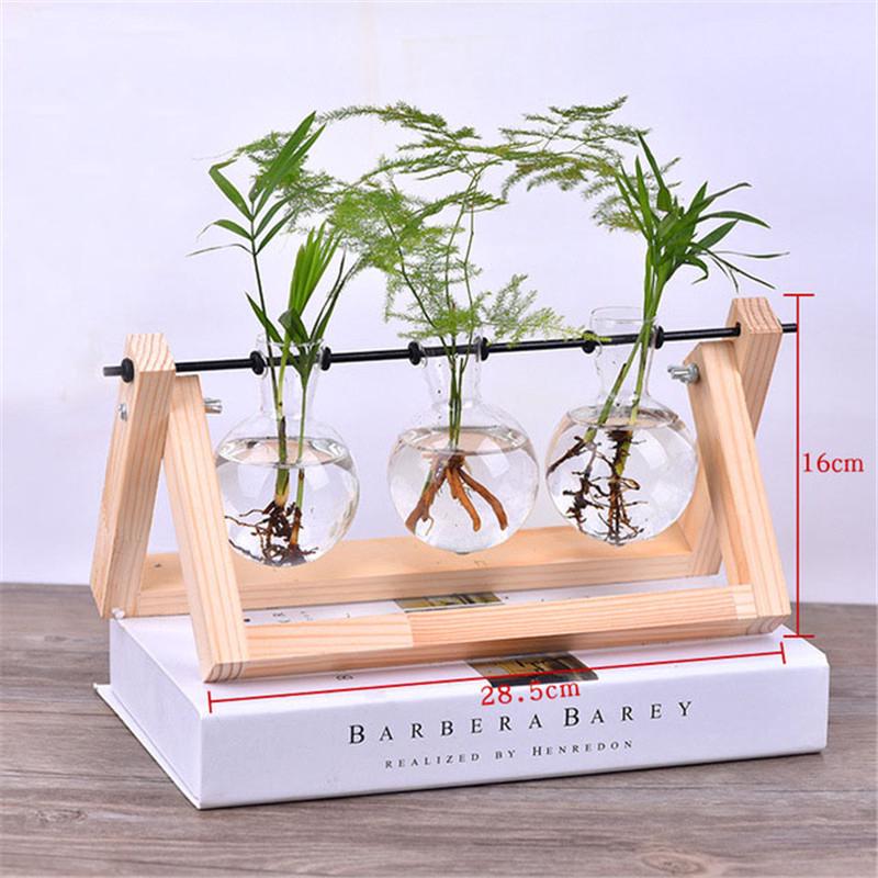 Chậu thủy tinh trồng cây kiểng