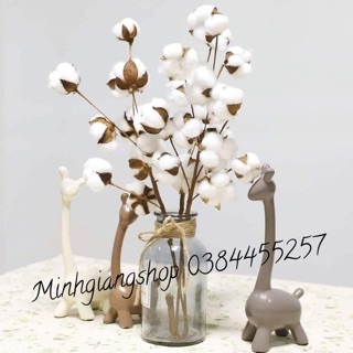 Phụ kiện chụp ảnh/Trang trí- 1 cành lớn 10 bông hoa khô vintage 53cm bao đẹp đẹp đẹp