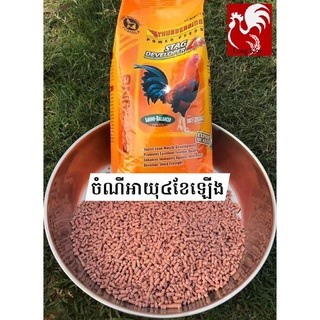 STAG DEVELOPER 4+ THUNDERBIRD - THỨC ĂN GÀ TƠ TỪ 4 THÁNG TUỔI - DẠNG VIÊN NHỎ