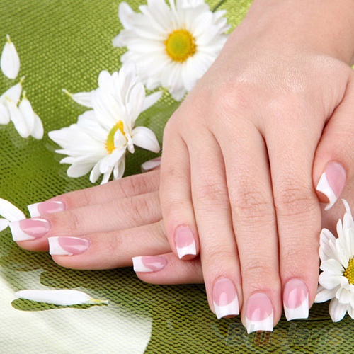 Set 8 Cọ Vẽ Móng Tay Nghệ Thuật Họa Tiết Ngựa Vằn