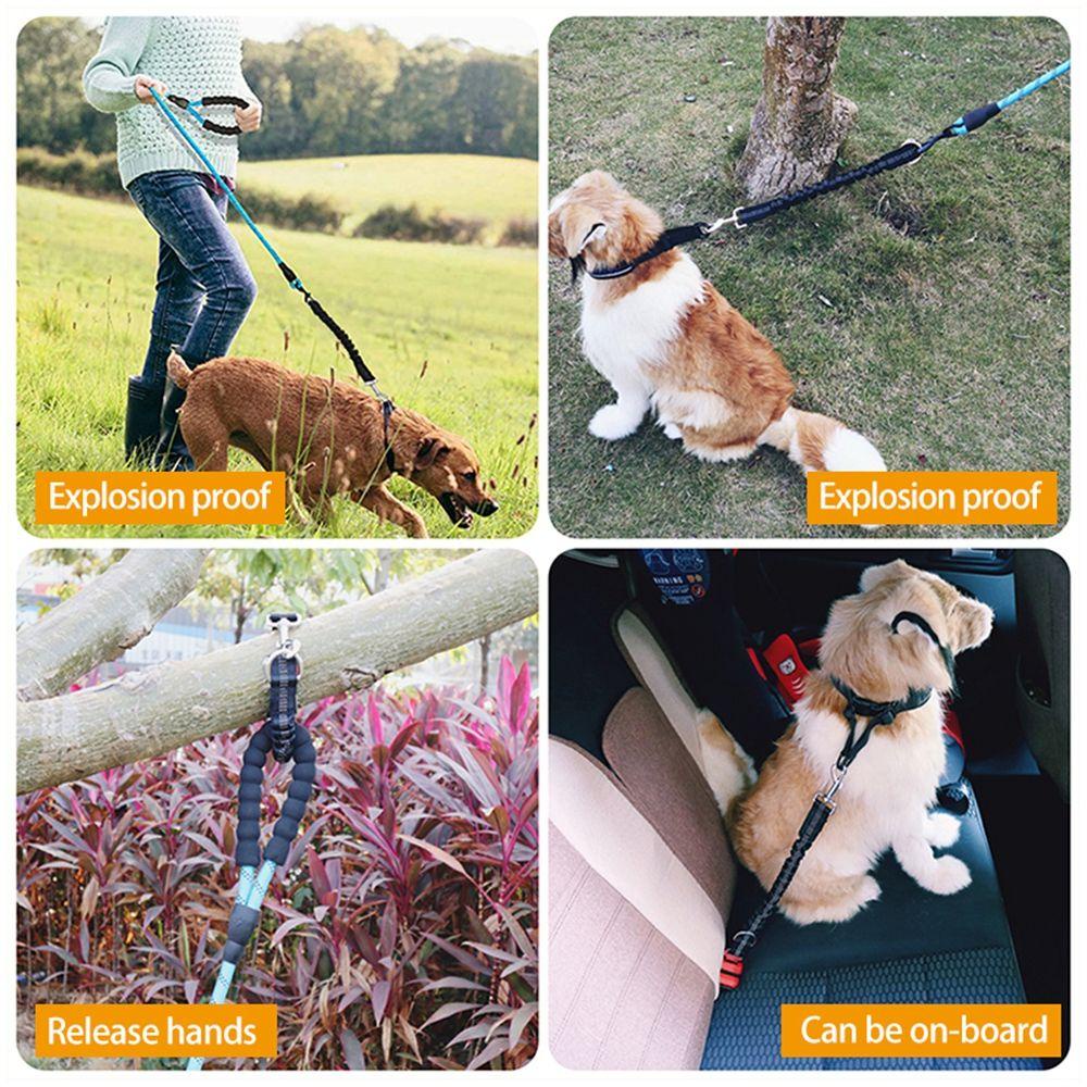 Dây ThắT An ToàN Trên Xe Cho Thú Cưng