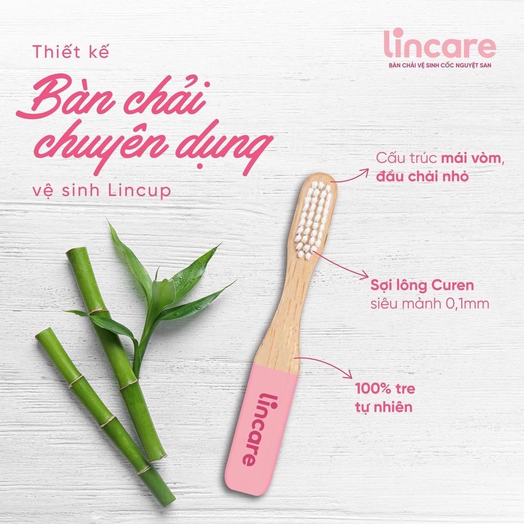 Bàn chải vệ sinh cốc nguyệt san Lincare