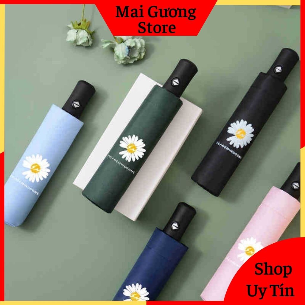 Ô dù hoa cúc, Ô gấu trúc gấp gọn thời trang, O du che nắng mưa chống tia UV