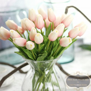 HOA TULIP XỐP DẬP