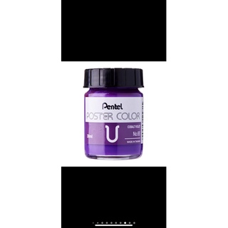 màu poster pentel 30ml