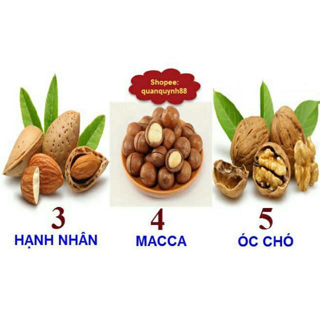 L CAO CẤP- 1kg NGŨ CỐC LỢI SỮA 18 HẠT (THÊM ÓC CHÓ, HẠNH NHÂN, QUINOA, MACCA, AMARANTH, HẠT CHIA)