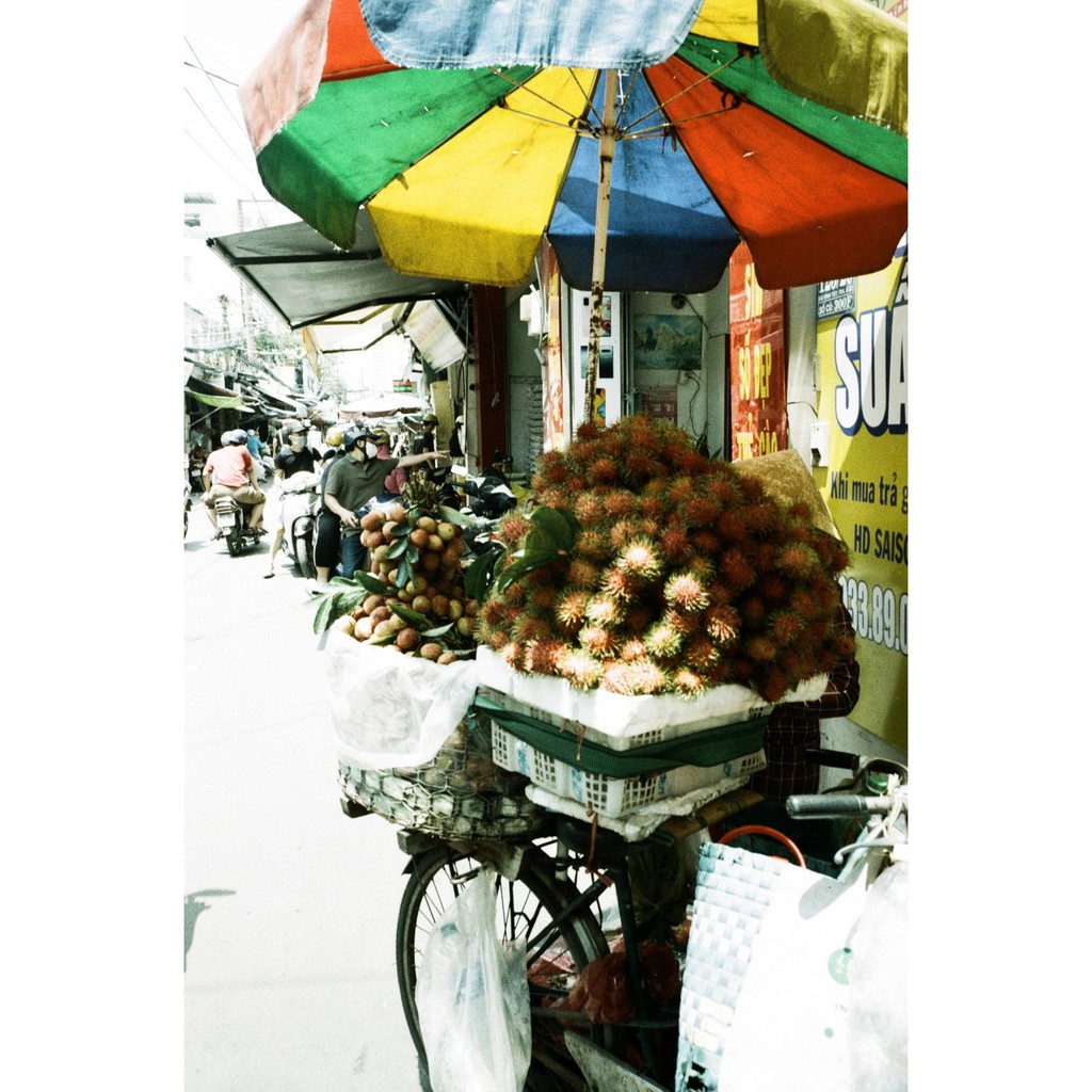 Film màu Lomography  ISO từ 100-400