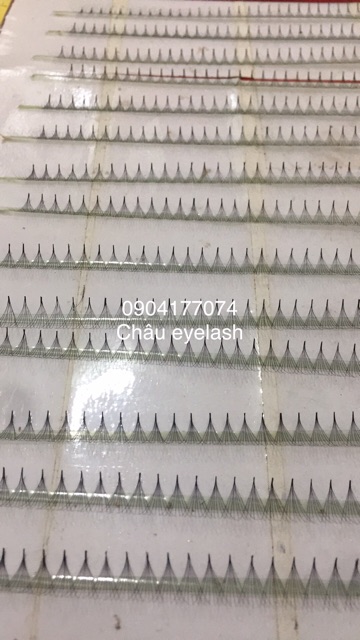 Mi fan 8d loại hộp 1000 fan , mi volume mi xuất khẩu
