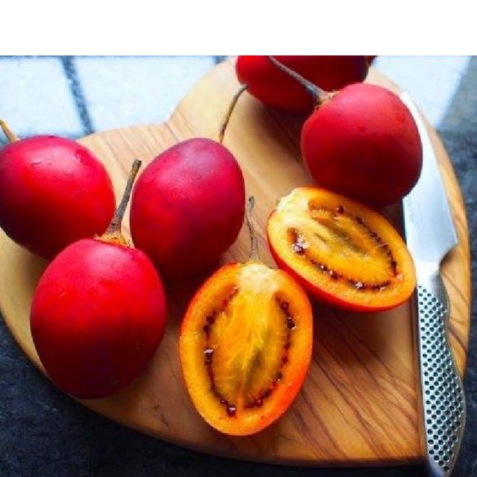 Hạt giống cà chua thân gỗ - Gói 10 hạt - Tặng gói kích hạt nảy mầm